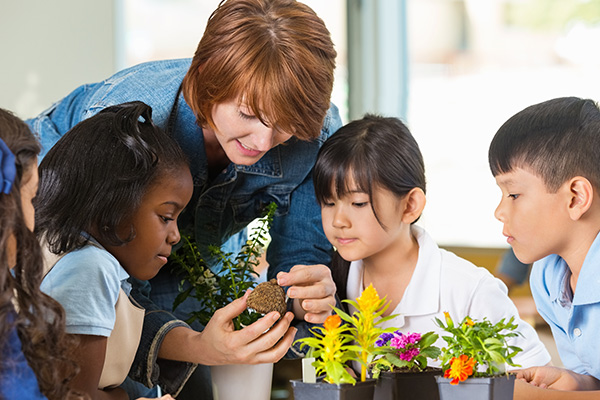 Trustee and governor training