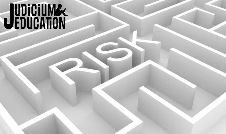 Data Protection Impact Assessments (DPIAs): Making Sense of the Process ...